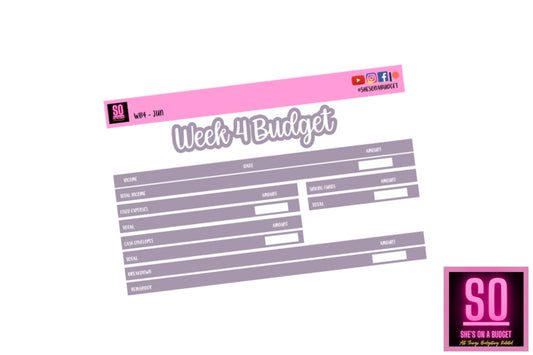 June Week 4 Budget Sticker Kit