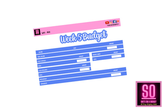 May Week 5 Budget Sticker Kit