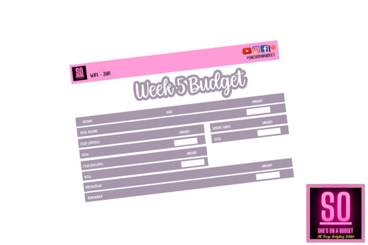 June Week 5 Budget Sticker Kit