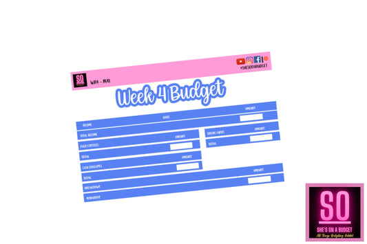 May Week 4 Budget Sticker Kit