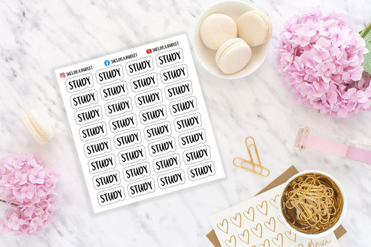 Study Stickers - Mini Script Stickers