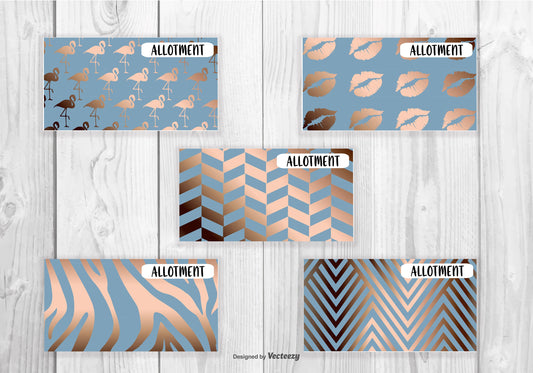 5 Cash Envelopes (Blue & Peach)