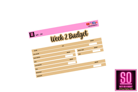 January 2022 - Week 2 Budget Sticker Kit