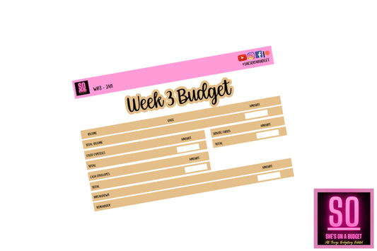 January 2022 - Week 3 Budget Sticker Kit