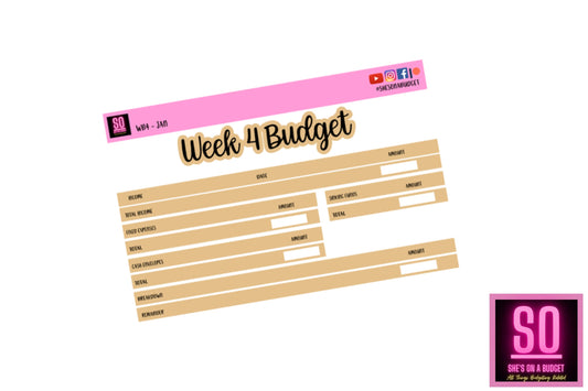 January 2022 - Week 4 Budget Sticker Kit