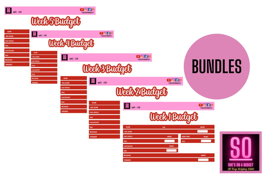 February Weekly Bundles Budget Kits